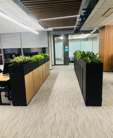Boat-shaped Kisti Planters