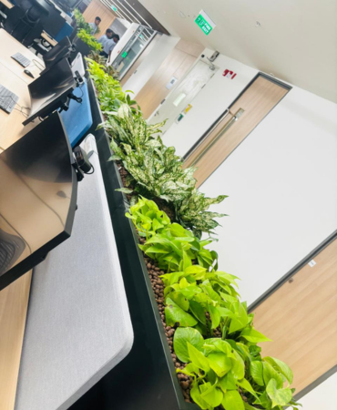 Scheduled Plant Maintenance Service