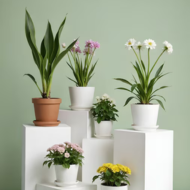 FRP Pots with Plants Combo