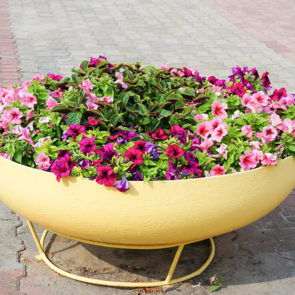 Low-Bowl FRP Planter