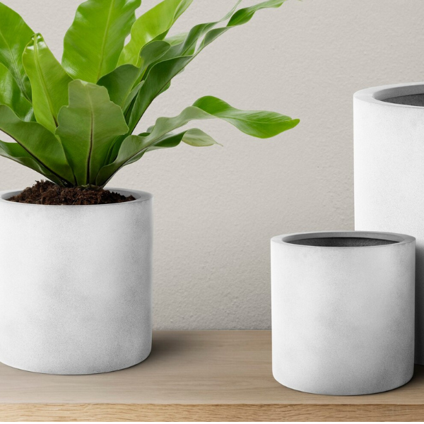 Cylindrical Tall Planter